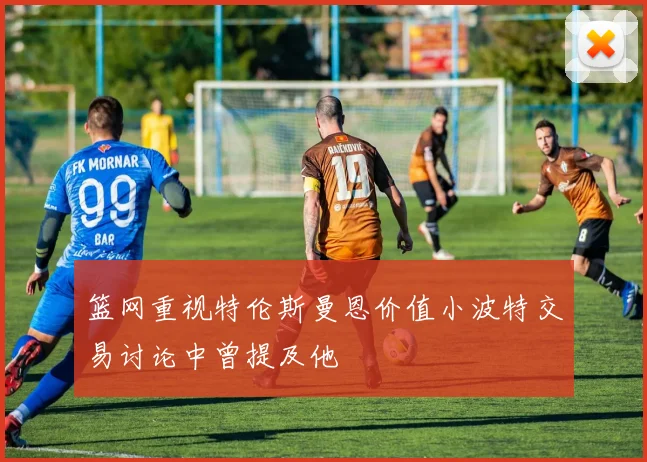 篮网重视特伦斯曼恩价值小波特交易讨论中曾提及他
